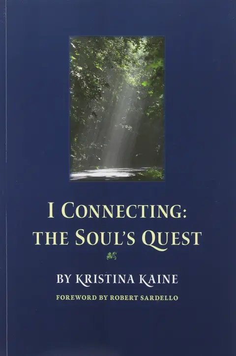 Cover of I Connecting
