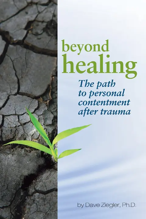 Cover of Beyond Healing