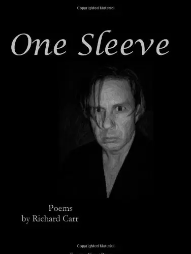 Cover of One Sleeve