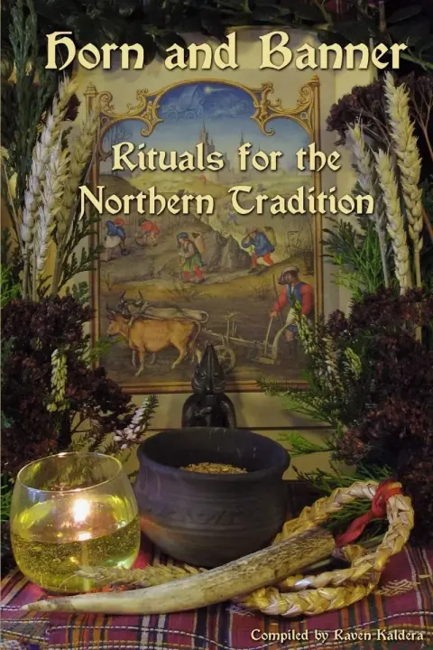 Cover of Horn and Banner