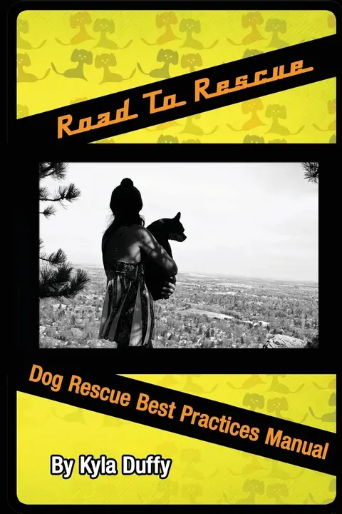 Cover of Road to Rescue