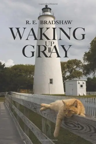 Cover of Waking up Gray