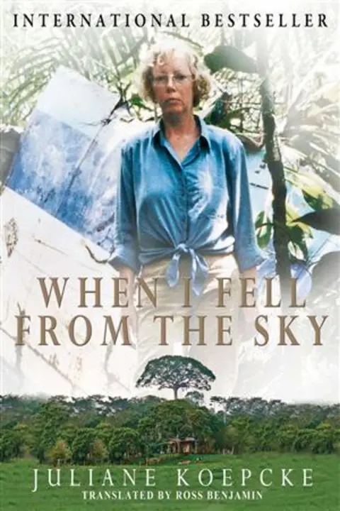 Cover of When I Fell from the Sky