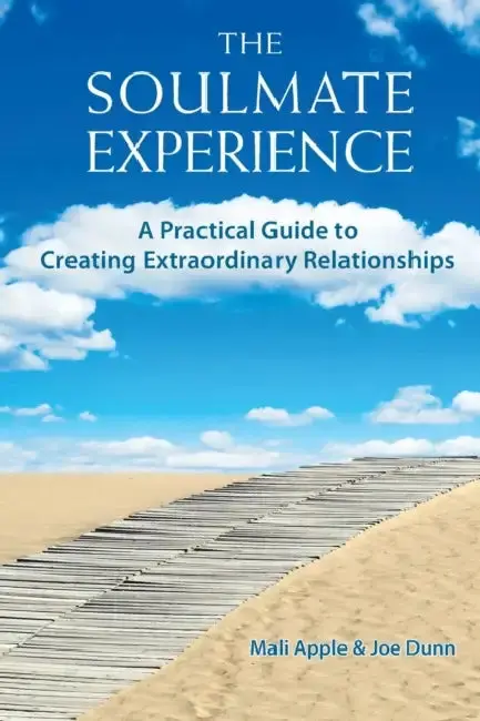 Cover of The Soulmate Experience