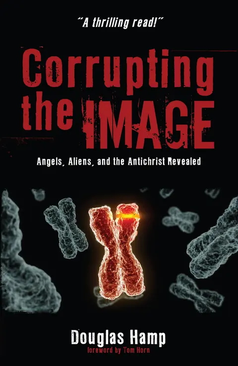 Cover of Corrupting the Image