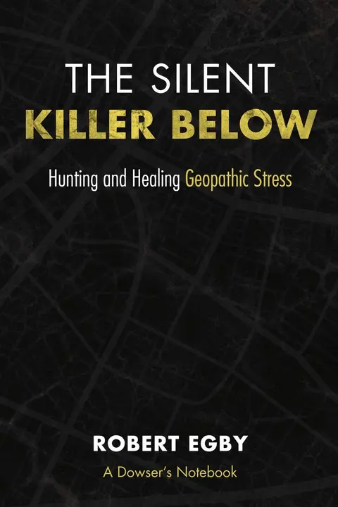 Cover of The Silent Killer Below