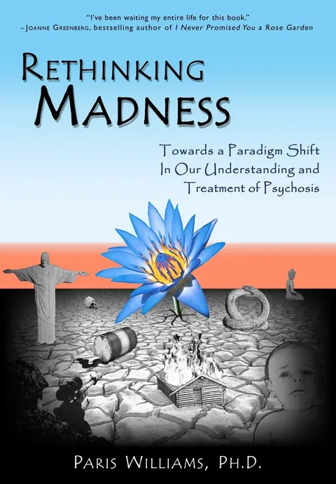 Cover of Rethinking Madness