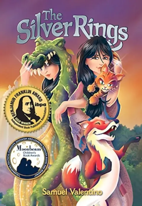 Cover of The Silver Rings
