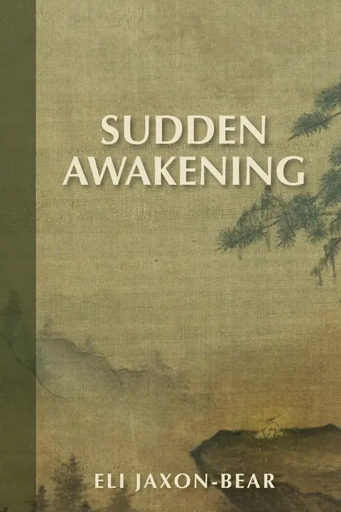 Cover of Sudden Awakening