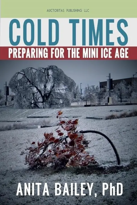 Cover of Cold Times