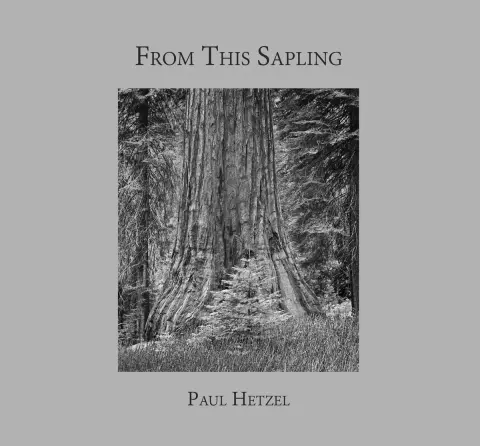 Cover of One Man's Henry Moore