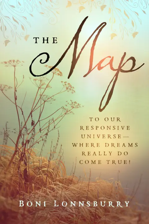 Cover of Map