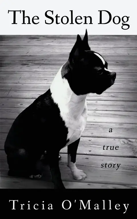 Cover of The Stolen Dog
