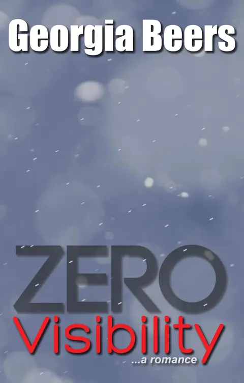 Cover of Zero Visibility