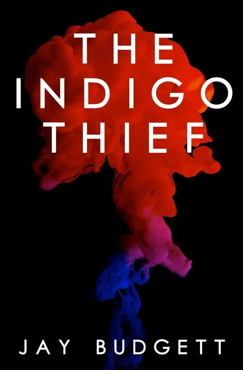 Cover of The Indigo Thief