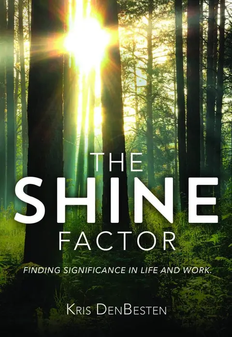 Cover of The Shine Factor