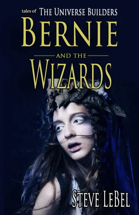 Cover of Bernie and the Wizards