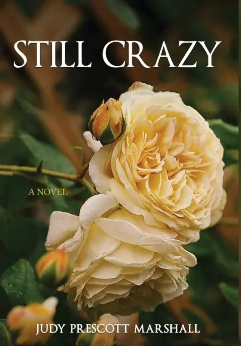 Cover of Still Crazy