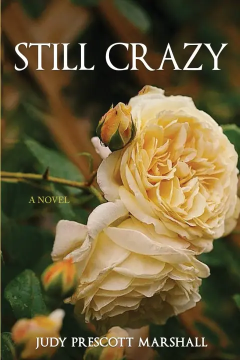 Cover of Still Crazy