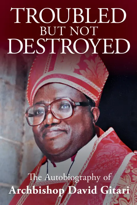 Cover of Troubled but not Destroyed