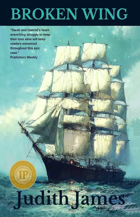 Cover of Broken Wing