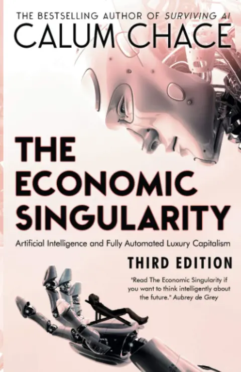 Cover of The Economic Singularity