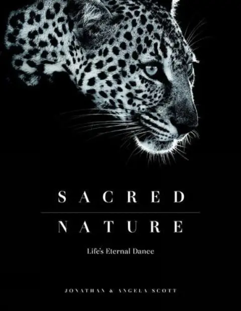 Cover of Sacred Nature