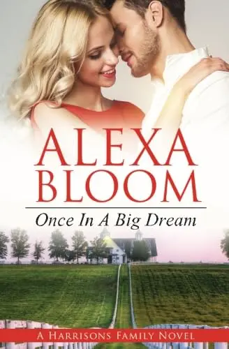 Cover of Once in A Big Dream
