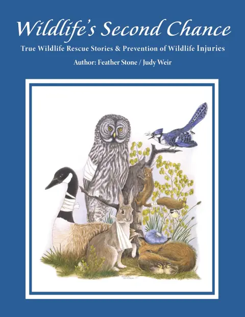Cover of Wildlife's Second Chance