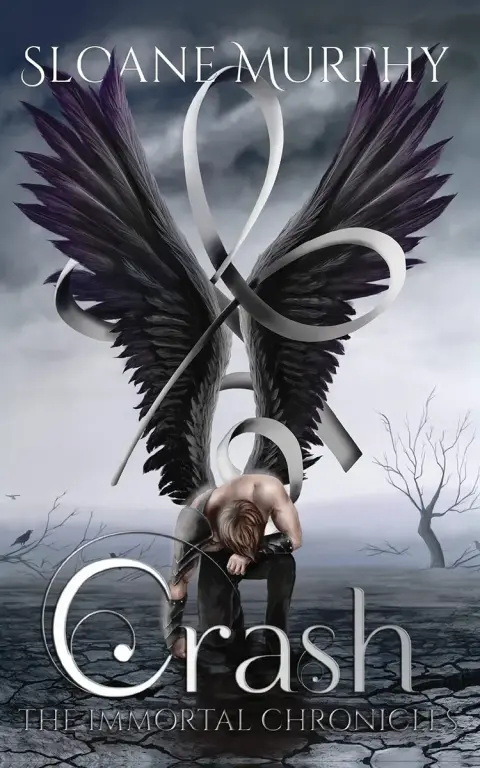 Cover of Crash