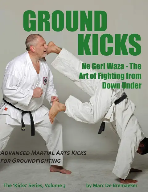 Cover of Ground Kicks