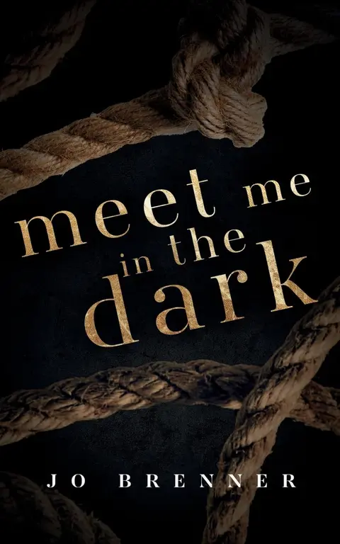 Cover of Meet Me in the Dark