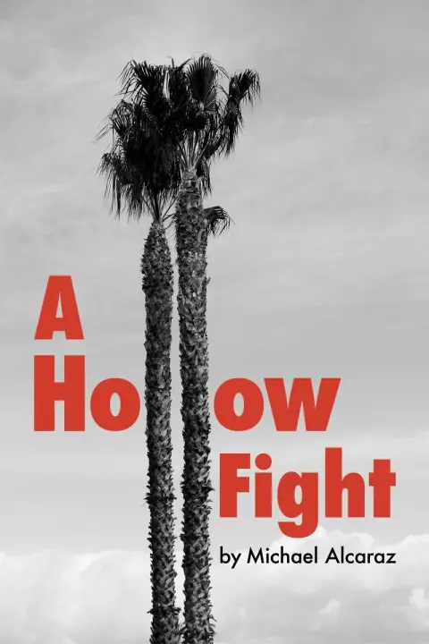 Cover of A Hollow Fight