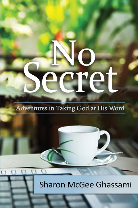 Cover of No Secret