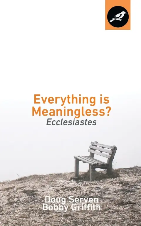 Cover of Everything Is Meaningless?