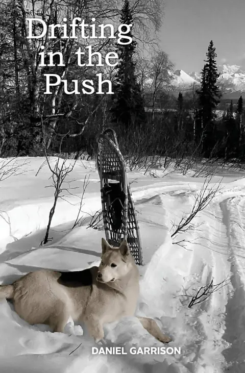 Cover of Drifting in the Push