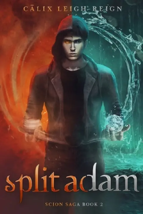 Cover of Split Adam