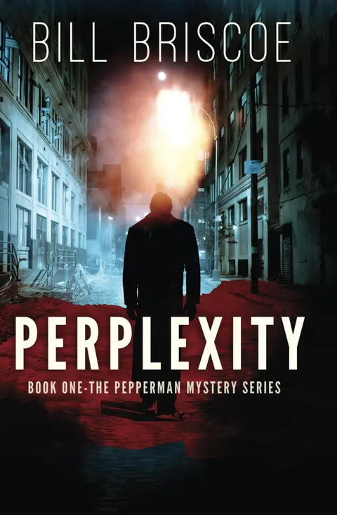 Cover of Perplexity