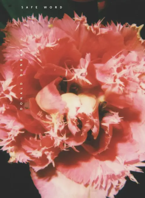 Cover of Safe Word