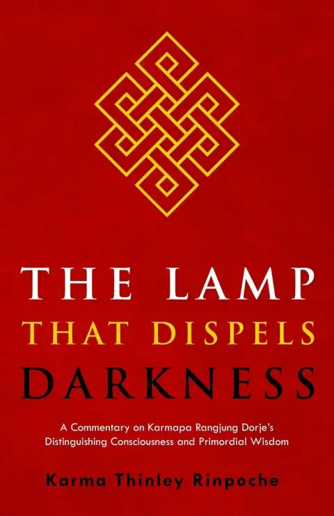 Cover of The Lamp That Dispels Darkness