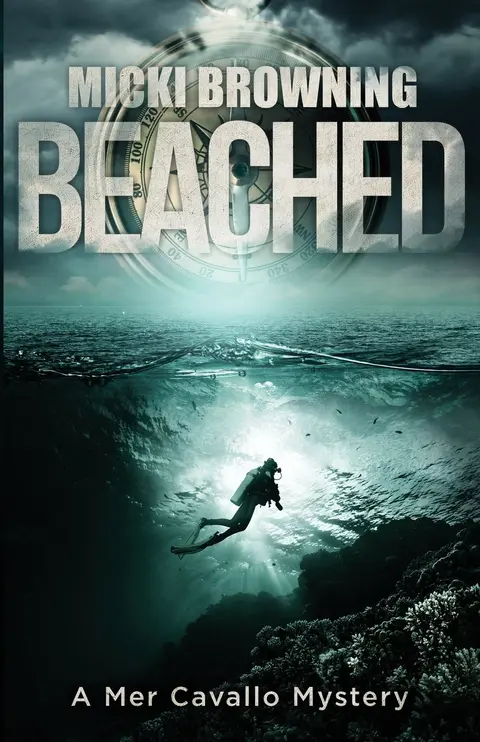 Cover of Beached