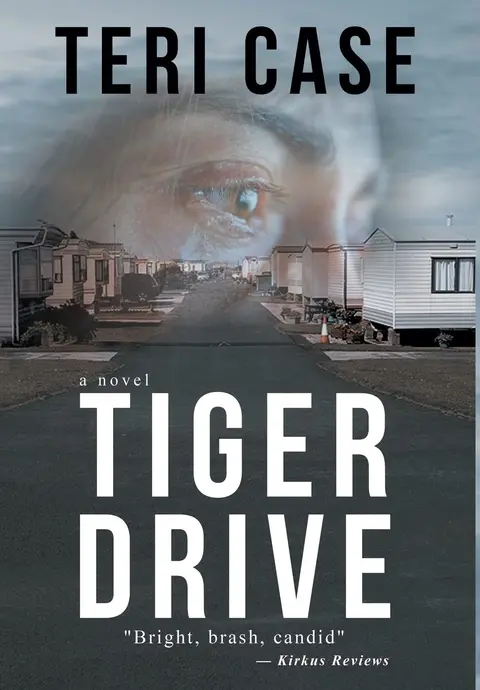 Cover of Tiger Drive