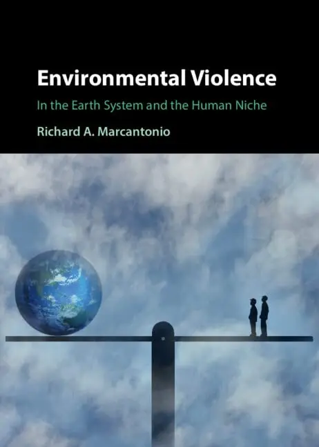 Cover of Environmental Violence