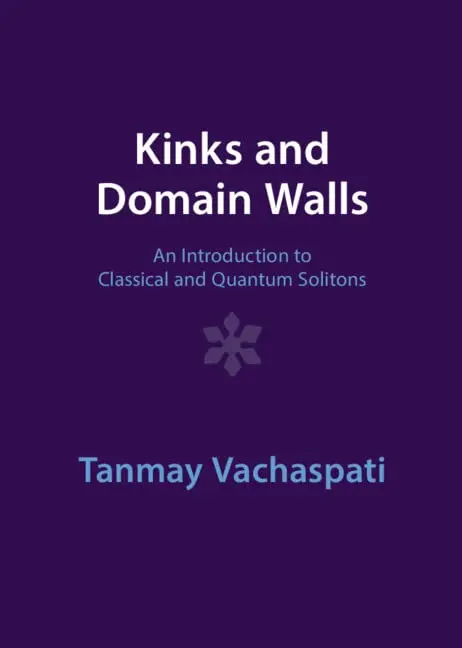Cover of Kinks and Domain Walls