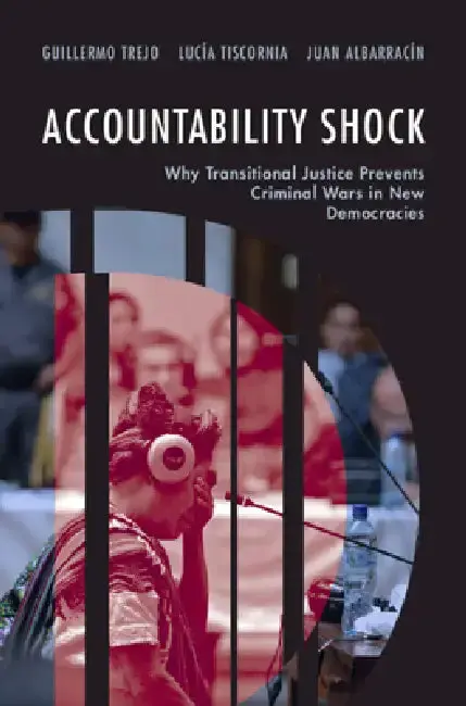 Cover of Accountability Shock