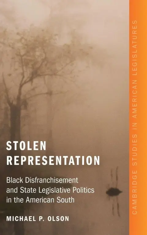 Cover of Stolen Representation