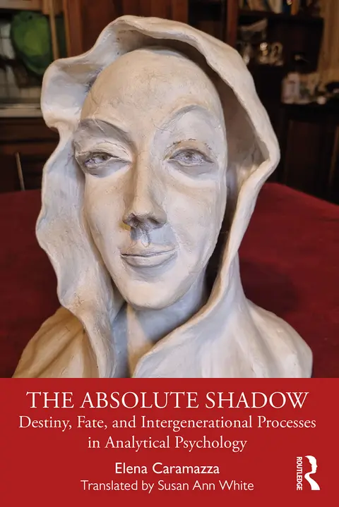 Cover of The Absolute Shadow