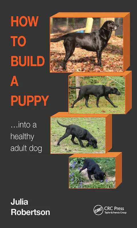 Cover of How to Build a Puppy