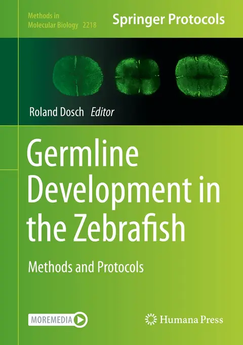 Cover of Germline Development in the Zebrafish