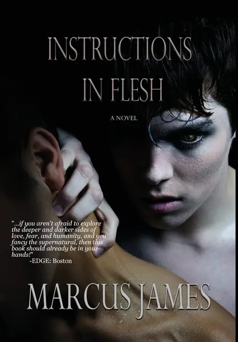 Cover of Instructions in Flesh